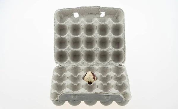 Benekli bir bıldırcın yumurtası karton bir kutuda yatıyor. Yiyeceğe yakın çekim. Metin için boşluk olan üst görünüm.