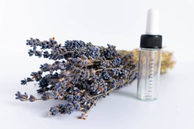 Beyaz arka planda kurutulmuş lavanta çiçekleri. Lavanta yağı. Pipetli şeffaf bir cam şişe buketin yanında duruyor..