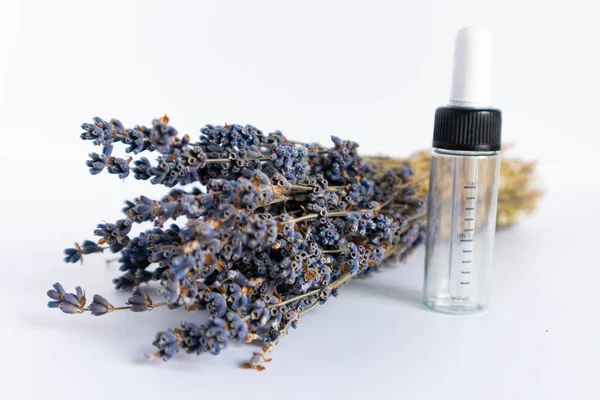 Beyaz arka planda kurutulmuş lavanta çiçekleri. Lavanta yağı. Pipetli şeffaf bir cam şişe buketin yanında duruyor..