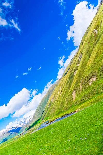 Spazio Vuoto Verticale Immagine Sfondo Montagna Verde Cielo Blu Con — Foto Stock