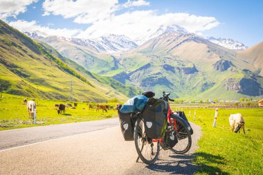 Çantalarla dolu yol kenarındaki kırmızı bisiklet durakları KAzbegi Ulusal Parkı 'nın kırsal kesimlerinde ineklerle çevrili. Bisiklet turu tatili.