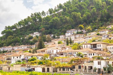 Berat 'ın eski kasabasında ağaçların ve yerlilerin yaşadığı geleneksel evler. Arnavutluk 'un tarihi yerleri.