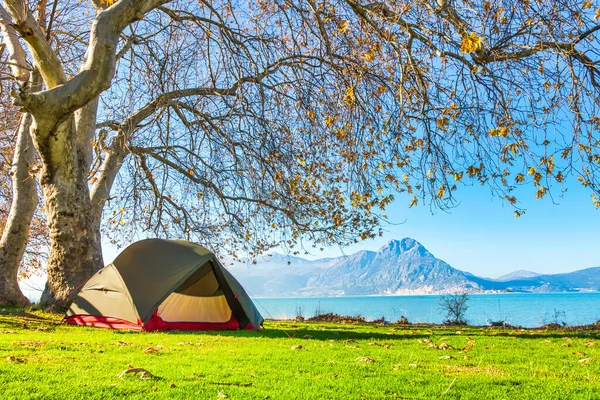 Green tent stands under the tree with blue lake and mountains in the background landscape. Camping in autumn.