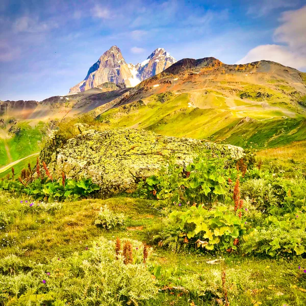 Pic Montagne Ushba Entouré Par Nature Verdoyante Été Voyage Svaneti — Photo