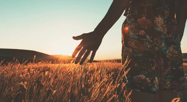 背景に夕日と手の牧草地と夏のドレスのタッチで魅力的な女性 意図的な映画黄金の夜のフィルタ 概念的な広角パノラマの背景 — ストック写真