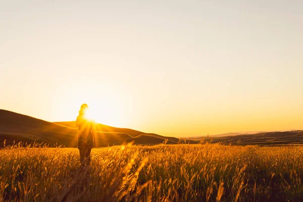 Girls Sillhouette Left Side Standing Golden Meadow Sunset Starburst Peaking — Stock Photo, Image