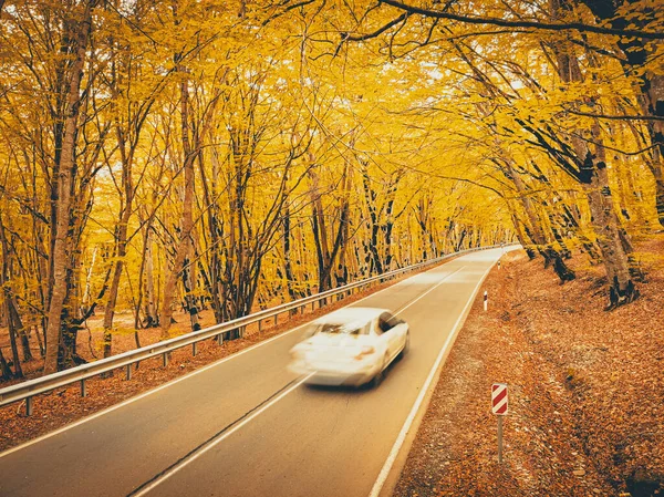 Blury White Car Passing Fast Scenic Autumn Road Surounded Orange — Stock Photo, Image