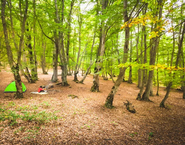 Вид Деревья Человека Сидящего Костра Палатки Сабадашском Лесу — стоковое фото
