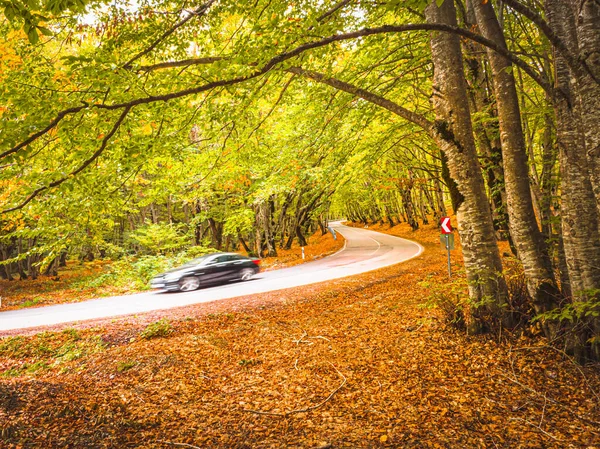 Schwarzes Auto Fährt Schnell Die Malerische Herbststraße Hinunter Umgeben Von — Stockfoto