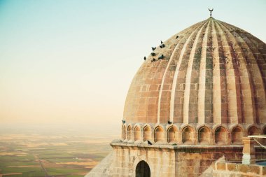Türkiye 'nin güneydoğusundaki Mardin' deki Mezopotamya ovalarına bakan güvercinleri tünemiş Ulu Cami camisinin tarihi kubbesi