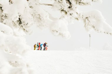 Karlı yamaçlarda hazırlanan bir grup kayakçı. Kışlık tatil beldesinde buzlu çam dalları tarafından çerçevelenmiş.