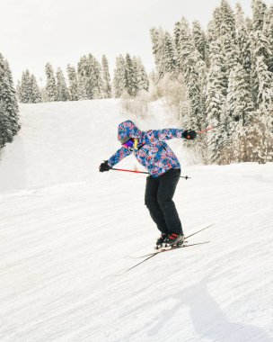 Genç kayakçıyı kapatın. Kayak merkezindeki buz pateni kayağı tepesinden aşağı atlayın. Taze kar yağışlı bir günde, aktif kış tatilinin tadını çıkarın. Slalom yarışması kış oyunları