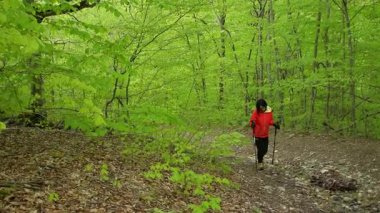 Orman patikasındaki yorgun, genç, beyaz kadın hafta sonu ormanlara gitmek için ilkbaharda yokuş yukarı gidiyor. Sağlıklı yaşam tarzı, dayanıklılık ve yaz konseptine uyum sağlama.