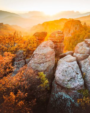 Bulgaristan 'da Belogradchik' in kumtaşı kaya oluşumları üzerine dramatik hava aracı manzarası altın gün batımında canlı yapraklarla çevrili sonbahar ormanlarıyla çevrili