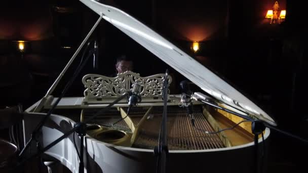 Vue Ensemble Pianiste Jouant Propre Musique Sur Fond Public Vue — Video