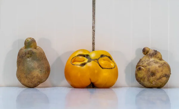 Ugly tomato as human face and two potatoes each one big plus small. Natural vegetables is healthy food, which contains vitamins, minerals, antioxidants, fiber. Horizontal image. White tiles background