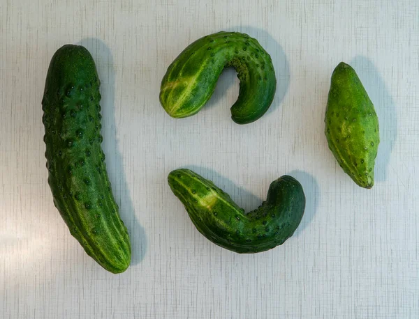 Vier Misvormde Komkommers Rustieke Witte Tafel Met Grijze Strepen Biologische — Stockfoto