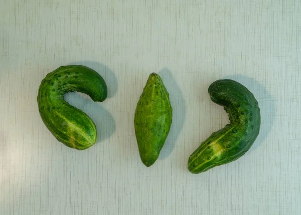 Drie Misvormde Komkommers Liggen Witte Tafel Met Grijze Strepen Natuurlijke — Stockfoto