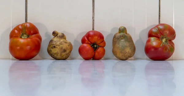 Five weird vegetables tomatoes and potatoes, in light rustic kitchen. Farmers vegetables is good for nutrition, because contains a lot of vitamins and minerals. Landscape photo, copy space.