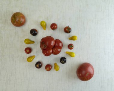 Birçok domates çirkin, büyük ve küçük, farklı renkler masada yatıyor. Tarım kavramı, doğal sebzeler diyet için iyidir, çünkü çok fazla vitamin ve mikroelement içerir. Üst görüntü fotoğrafı.