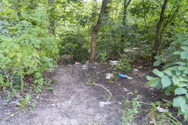 Ormanın kenarındaki dünyada plastik ve kağıt çöpleri. İnsan faaliyetleri tarafından yok edilen ormanların bir örneği. Fotokopi alanı ve doğa arkaplanı olan manzara yönelimli resim.