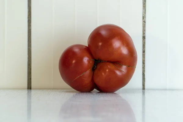 Triple siamese-twins weird tomato in the light rustic kitchen. Homegrown vegetable is good for nutrition, because contains a lot of vitamins and minerals. Landscape orientation, copy space.