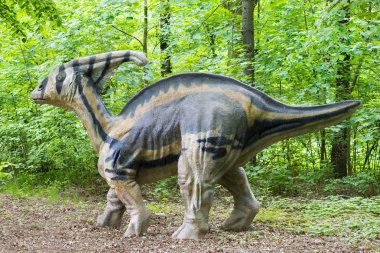 Tarih öncesi dinozor parasaurolophus canlı boyutunda büyük modeli. Yeşil orman gerçekçi sahne.