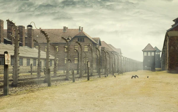 Auschwitz, Polonya - 30 Mart 2012 Holokost Müzesi. Dikenli telle bir konsantrasyon kampı kargalar ve döken güvenlik içinde belgili tanımlık geçmiş