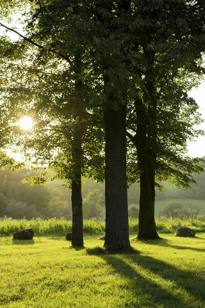 Низкое заходящее солнце в зеленом парке отбрасывает длинные тени. Часовня Божией Матери у замка Вевери Брно Чехия
.