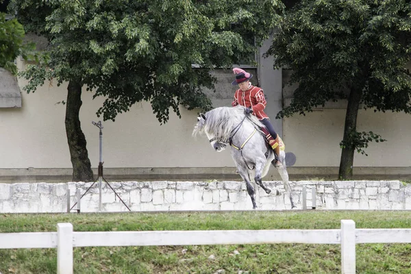 Lipica slovenia, 21. Juli 2018, spanischer Reiter mit seinem Pferd beim öffentlichen Training. Spanische Reitschule — Stockfoto