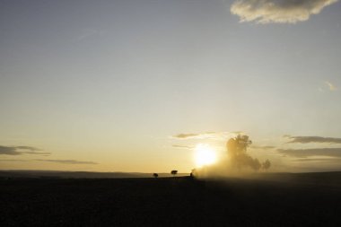 Alan ve yol ile bir yol kenarı çapraz ile gün batımında Ağaç siluet. Calvary manzara. Sisli gün batımı. Olomouc Çek Cumhuriyeti