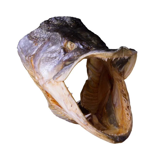 Рот Рыбы Фото