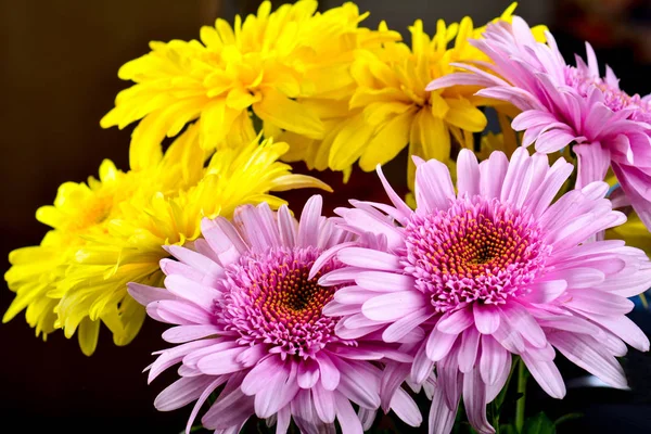 Bouquet Fleurs Gerbera Multicolore — Photo