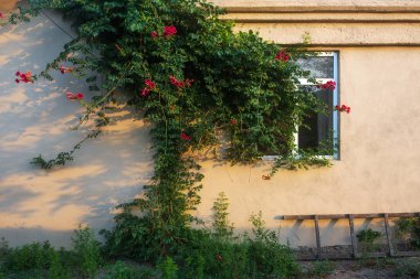 Duvar ve bir ev pencere