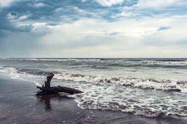Deniz kıyısı bulutlu bir günde