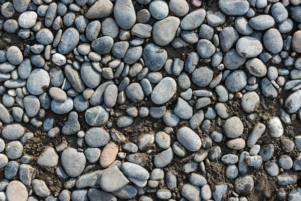 Pebble Stenen Achtergrondstructuur — Stockfoto