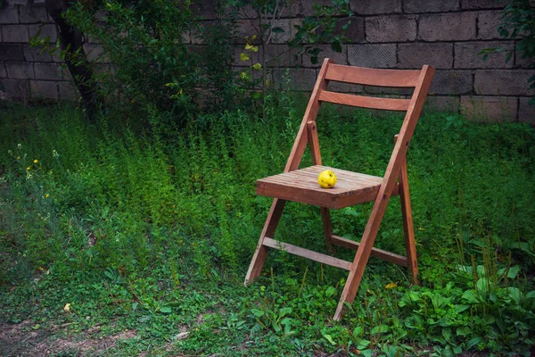 Old wooden folding chair in the country garden