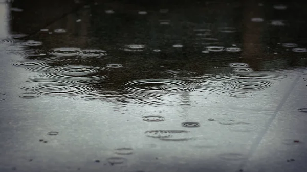 Sıçramalarına Bir Birikintisi Içinde Yağmur Damlaları — Stok fotoğraf