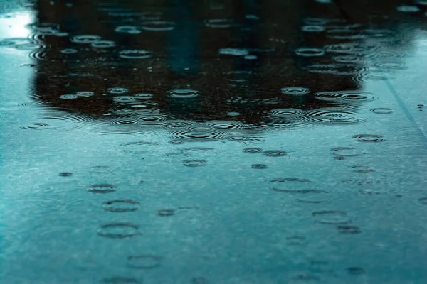 Salpicos Gotas Chuva Uma Poça — Fotografia de Stock