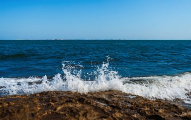 Dalga üzerinde rock tatili