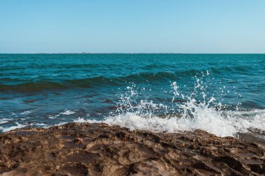 Dalga üzerinde rock tatili