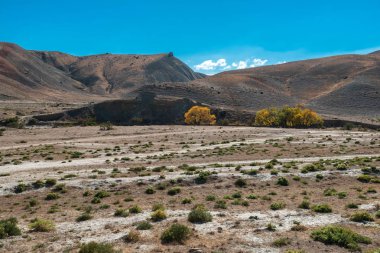 Sonbahar dağ manzara, sarı ağaç