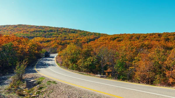 Silnici Horské Oblasti Mezi Podzimní Stromy — Stock fotografie