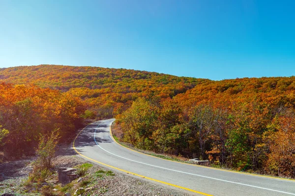 Road Mountain Area Autumn Trees — Stock Photo, Image