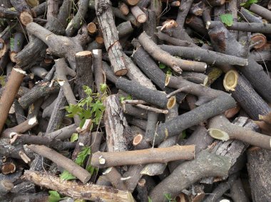 Sawed ağaçlar arka plan yığını