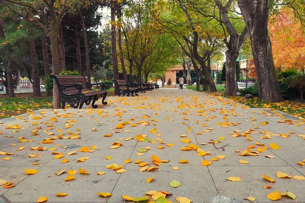 Herbst Stadtpark — Stockfoto