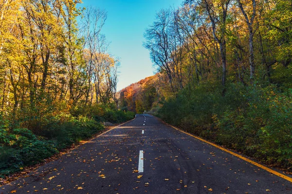 Autobahn Bunten Herbstlichen Bergwald — Stockfoto