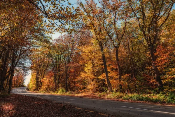 Vägen Skogen Färgglada Hösten Berg — Stockfoto