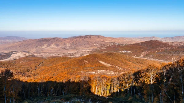 Dağ Manzarası Sonbahar Orman — Stok fotoğraf