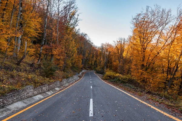 Renkli sonbahar dağ orman karayolu